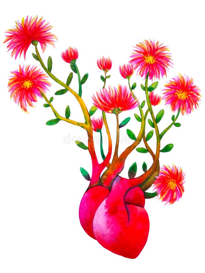 Love red pink heart flower mind art abstract watercolor painting illustration design white isolated