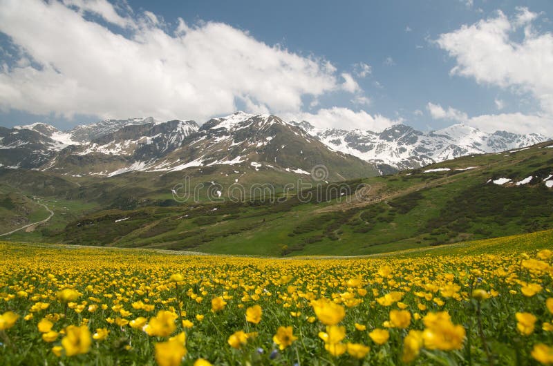 Lovely alpine landscape