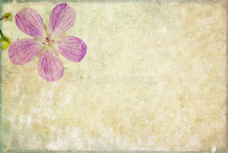 Lovely background texture stock photos