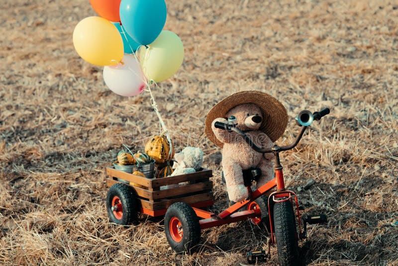 Lovely Brown Teddy Bear on Vintage Bike in Field. Retro and Vintage ...