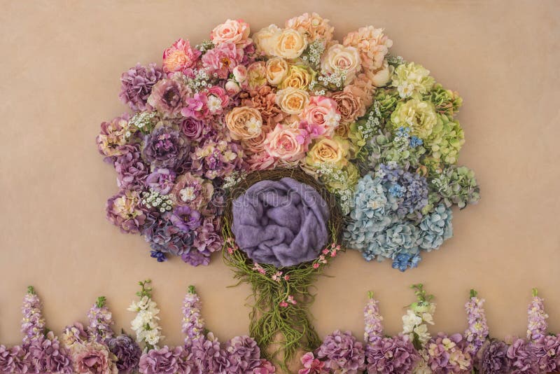 Lovely flower background for newborn baby, concept of newborn ba royalty free stock photo Lovely flower background for newborn baby, concept of newborn ba royalty free stock photo