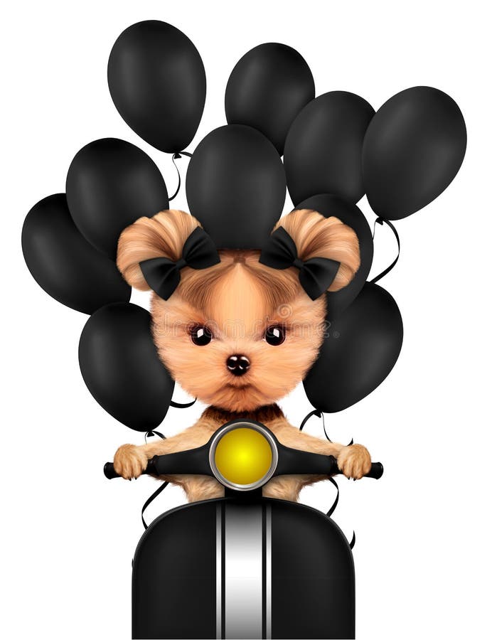 Lovely puppy sitting on motorbike with balloons vector illustration Lovely puppy sitting on motorbike with balloons vector illustration
