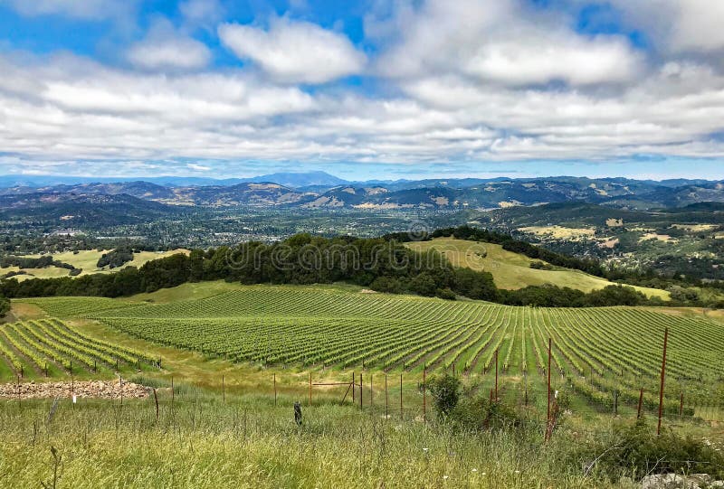 A view over the hills and vineyards of Sonoma County, California royalty free stock image A view over the hills and vineyards of Sonoma County, California royalty free stock image