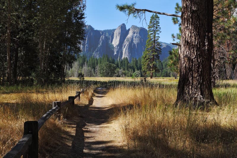 Lovely shady path in Yosemite Park stock images Lovely shady path in Yosemite Park stock images