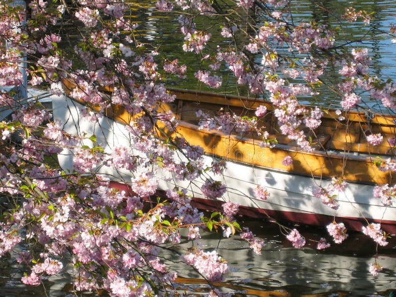 Wonderful view of a wooden boat surrounded by a sea of ​​flowers in a small lake - in Tivoli in Copenhagen in Denmark. Wonderful view of a wooden boat surrounded by a sea of ​​flowers in a small lake - in Tivoli in Copenhagen in Denmark