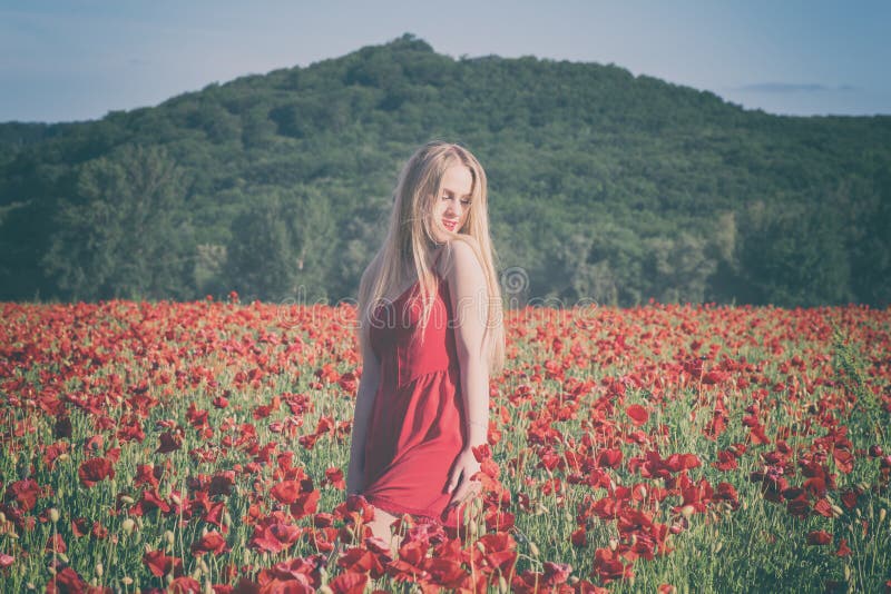 Lovely young blonde girl in a poppy field at sunset. Light, vintage image. Happiness and beauty people concept stock photography Lovely young blonde girl in a poppy field at sunset. Light, vintage image. Happiness and beauty people concept stock photography