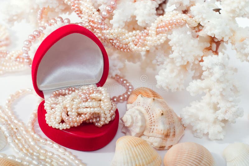 Lover s gift stock photo. Image of pearls, gift, shell - 2019818