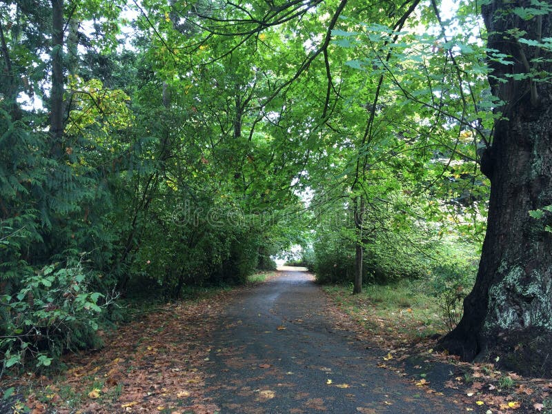 Lovers Lane stock image. Image of blue, road, romantic 6529281