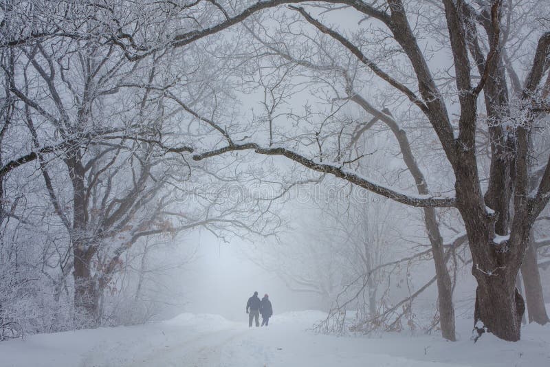 Lovers walking in the snow stock image. Image of glorious 62412139