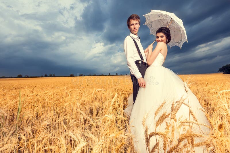 Loving bride and groom in wheat field with blue sky in the backg