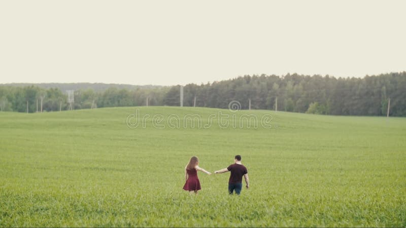 Loving people hold hands and kiss as they walk in an oat field. Happy couple in love. Forest at the background. Slow mo