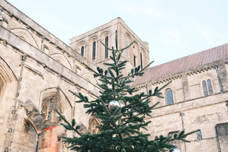 Low Angle Closeup a Christmas Tree in Front of the Winchester Cathedral