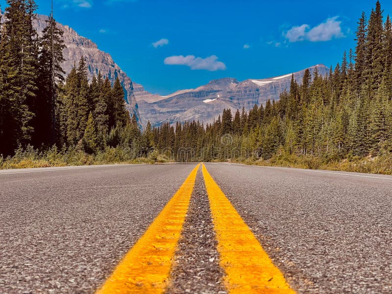 Lowangle of Road Trees on Both Sides, Snowy Mountains and Clear Sky