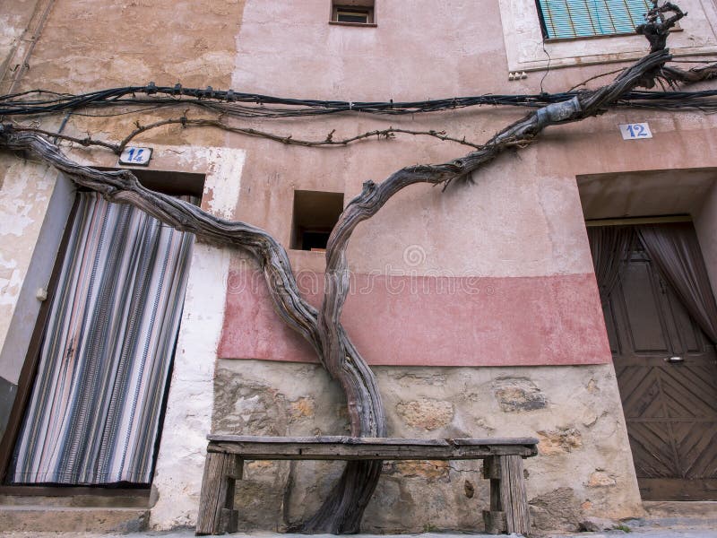 Low angle shot of a dry tree deeply rooted around a building under a bench stock image