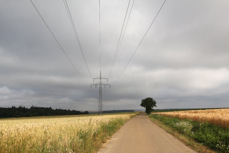 Low Angle Shot of Power Lines and a Field Stock Photo Image of