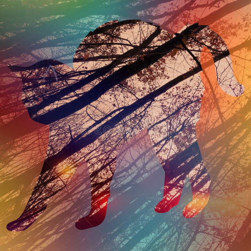 Low angle shot of tall dry trees with a colorful outline of a cat on it royalty free illustration
