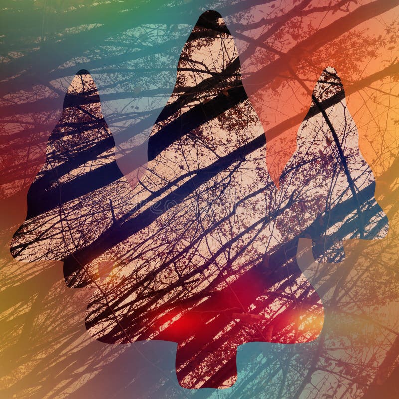 Low angle shot of tall dry trees with a colorful outline of christmas trees on it royalty free illustration