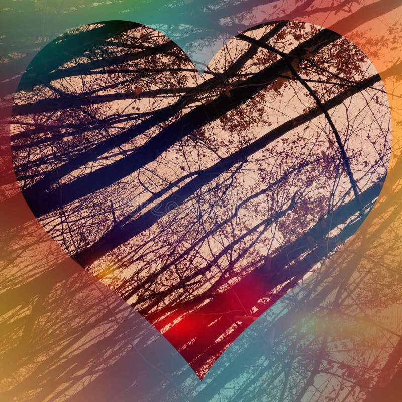 Low angle shot of tall dry trees with a colorful outline of a heart on it royalty free illustration