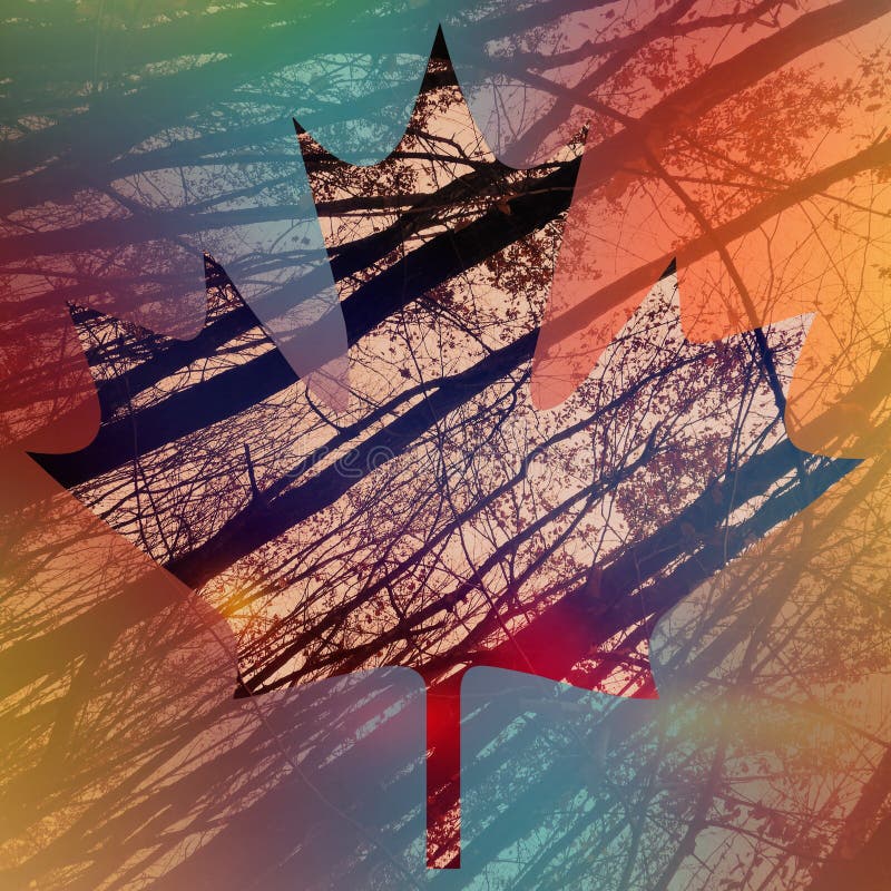Low angle shot of tall dry trees with a colorful outline of a maple leaf on it vector illustration