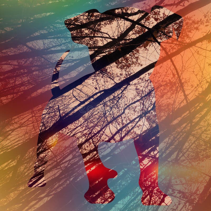 Low angle shot of tall dry trees with a colorful outline of a puppy on it stock illustration