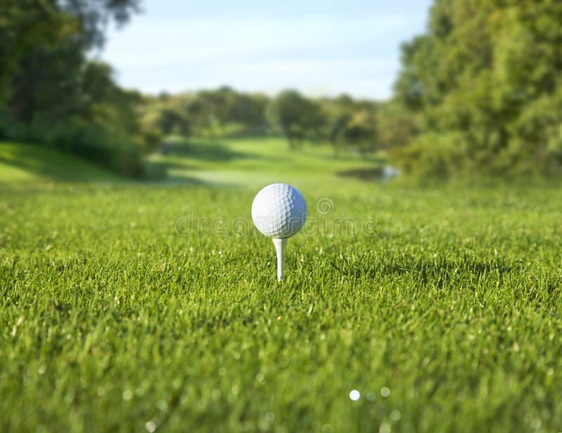 Close Up of Golf Ball on Green Stock Photo Image of angle, defocused