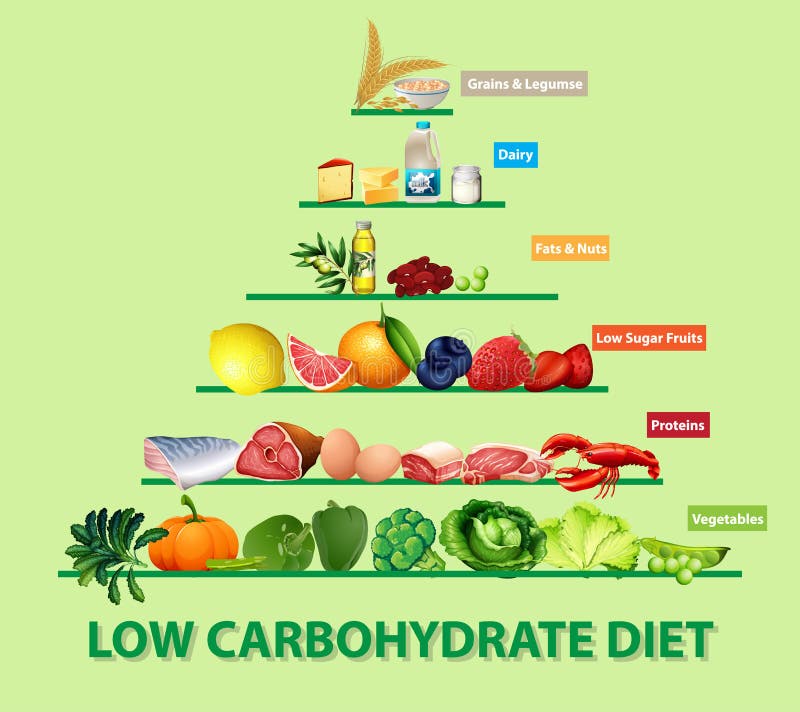 Low Carbohydrate Diet Diagram Stock Vector - Illustration of carb ...