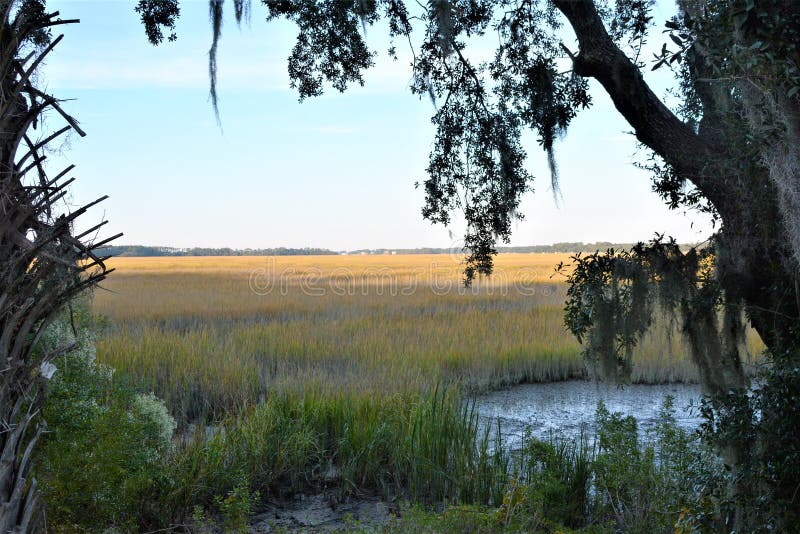 Low Country in America has played a role in both the Revolutionary and Civil War. Low Country in America has played a role in both the Revolutionary and Civil War.