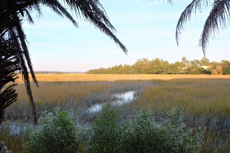 Low Country in America has played a role in both the Revolutionary and Civil War. Low Country in America has played a role in both the Revolutionary and Civil War.