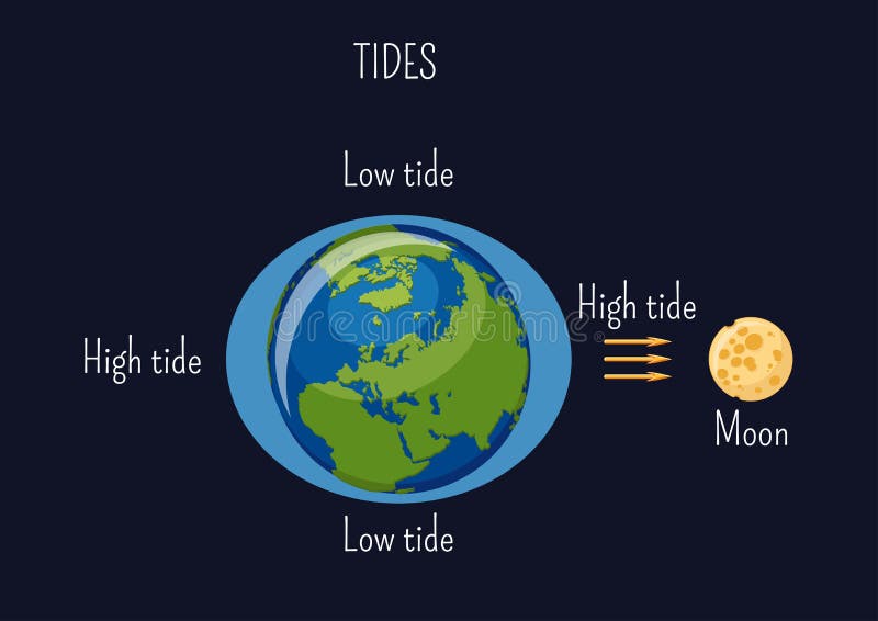 Low and high lunar tides diagram. Effect of Moon gravitational force on seacoast water level.