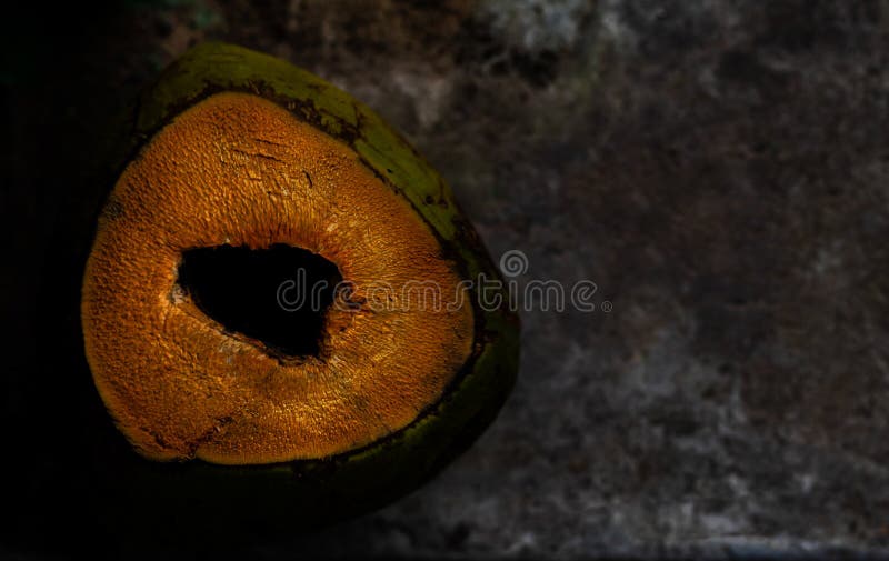 Low light macro close up of discarded coconut placed on dark marble surface in the background. early morning concept stock photography