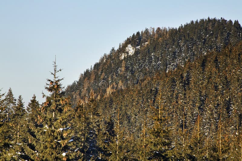 Low Tatras in Jasna. Slovakia