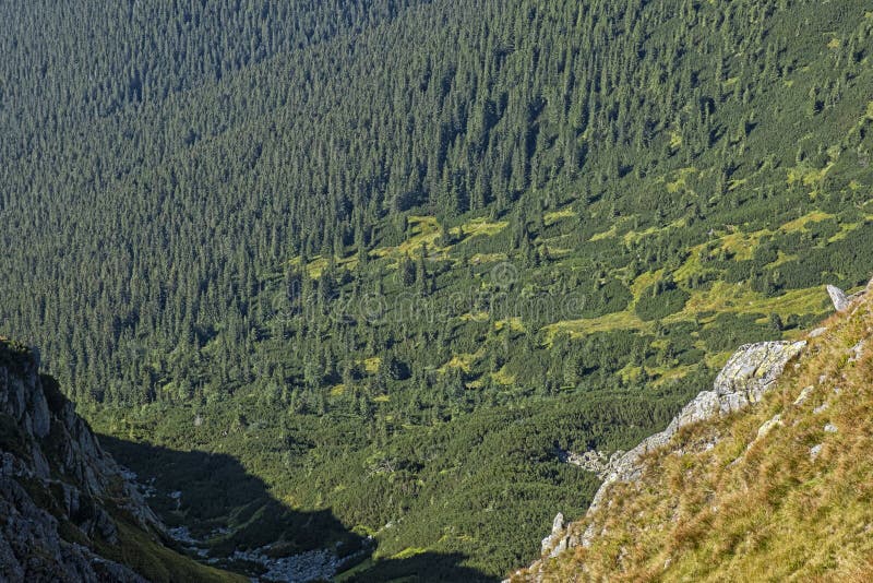 Horská scenéria Nízkych Tatier, Slovensko