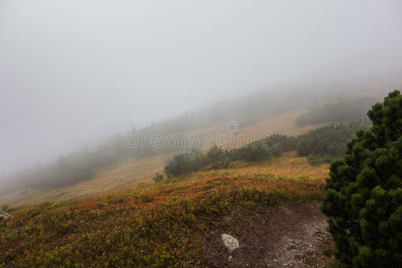 Nízke Tatry