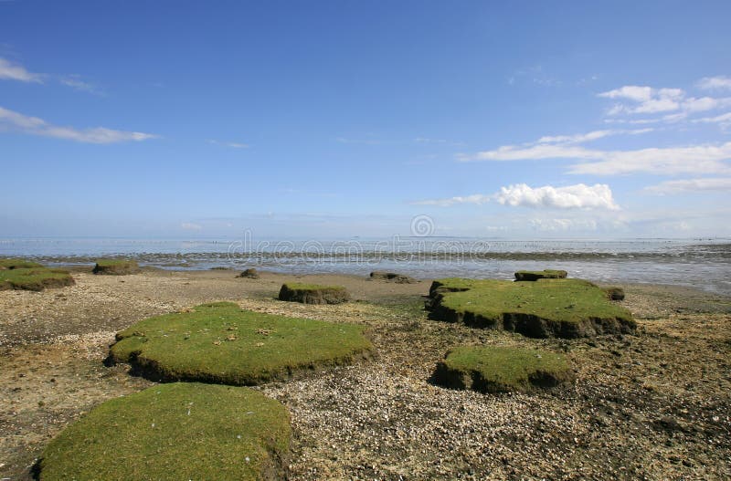 Low tide stock photo. Image of hills, husks, grassy, dutch 10418634