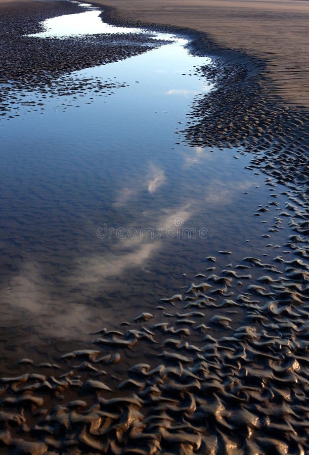 Low Tide royalty free stock images