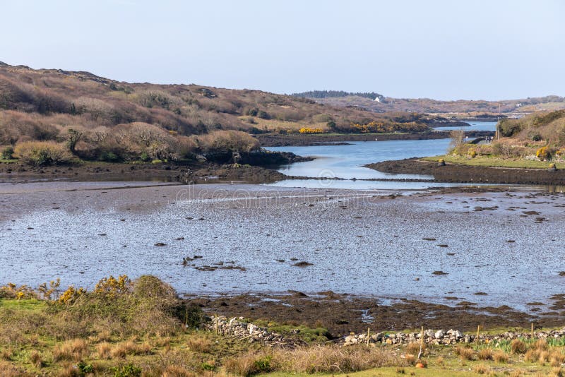 Low tide Clifden bay stock image. Image of galway, tree 146113521