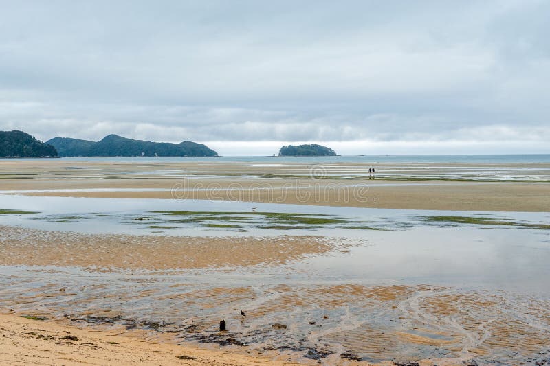 Low tide at Marahau, Abel Tasman National Park, New Zealand