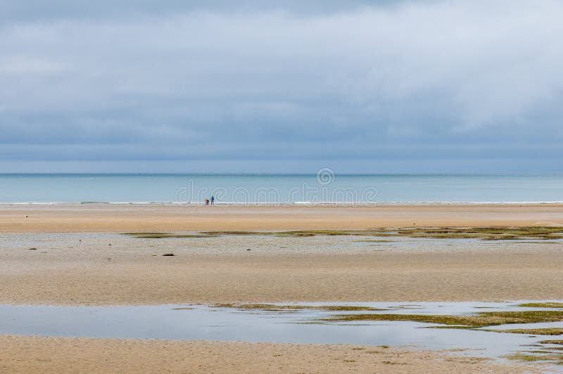 Low tide at Marahau, Abel Tasman National Park, New Zealand