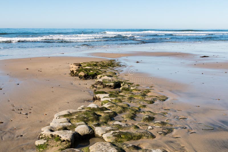 Low Tide at Swami`s Beach With Algae on Rocky Reef