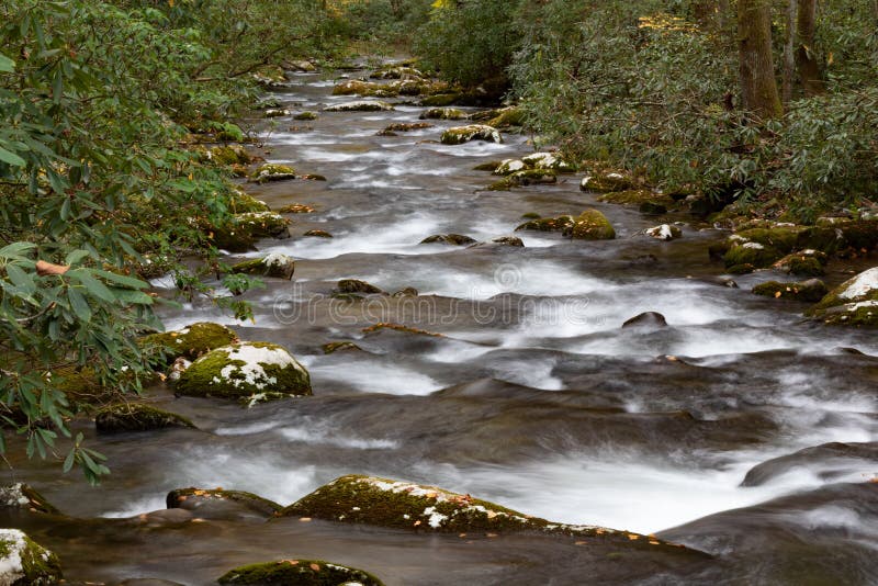 Low view down a rushing mountain stream in a fall landscape with moss covered rocks and rhododendron, Great Smoky Mountains