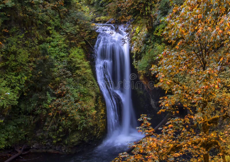 Upper Butte Falls in Oregon Stock Image Image of oregon, waterfall