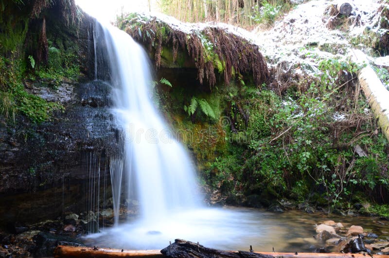 Lower Falls