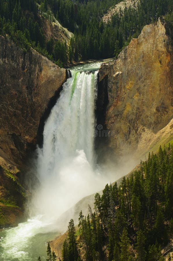 Lower Falls Yellowstone National Park stock photo Lower Falls Yellowstone National Park stock photo