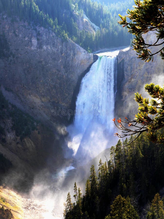 Lower Falls Yellowstone River, Wyoming, USA