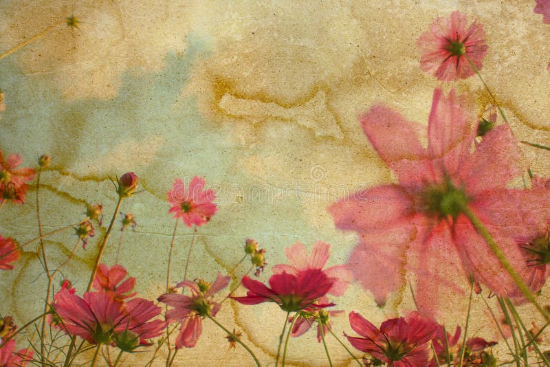 Lower paper royalty free stock images