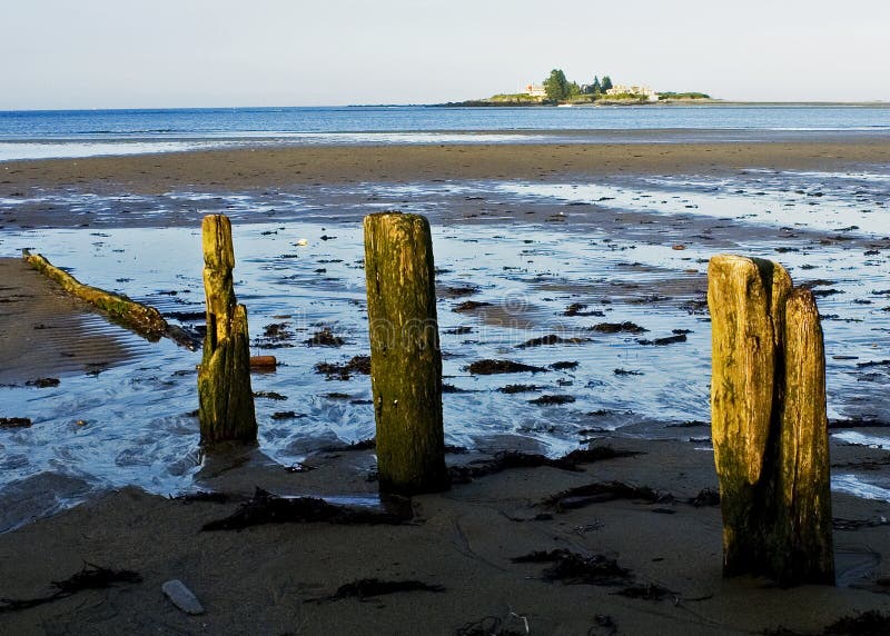 Lowtide in Maine fotografia stock