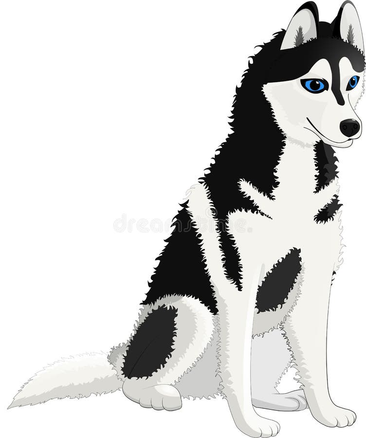 Loyal de laine blanche noire enrouée de chien bon illustration stock Loyal de laine blanche noire enrouée de chien bon illustration stock