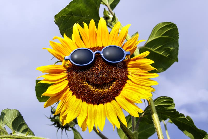 GlibberToy Sonnenschutz-Set Für Mädchen - Strohhut Mit Sonnenblume & Sonnenbrille Im Retro-Look