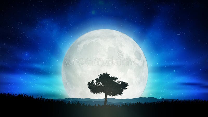 Lua cheia bonita, paisagem da natureza da silhueta da árvore da solidão ilustração do vetor Lua cheia bonita, paisagem da natureza da silhueta da árvore da solidão ilustração do vetor