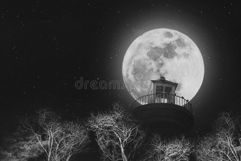 Lua cheia na noite com o farol no céu claro com estrelas, e ramos inoperantes, imagens preto e branco fotografia de stock royalty free Lua cheia na noite com o farol no céu claro com estrelas, e ramos inoperantes, imagens preto e branco fotografia de stock royalty free